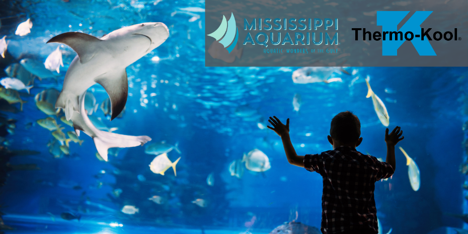 Mississippi Aquarium- Blog