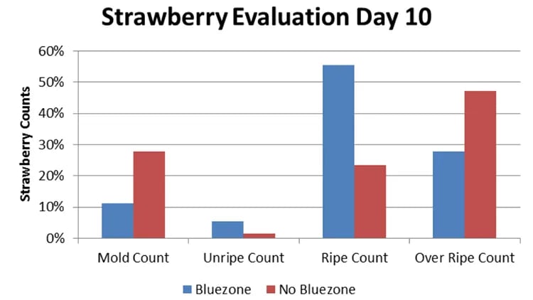 Strawberry-test-1-1