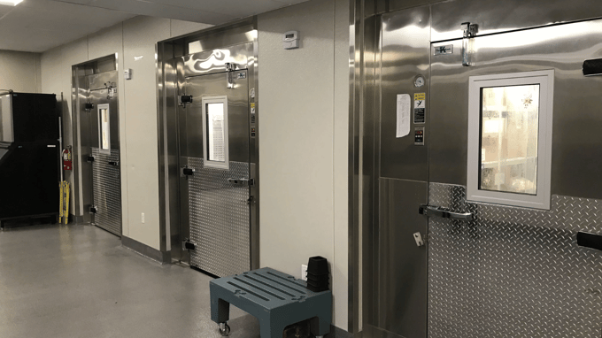 Row of commercial walk-in cooler and freezer doors in a clean school kitchen, featuring stainless steel construction, secure handles, and viewing windows, with clear floor space for safe access and operation.