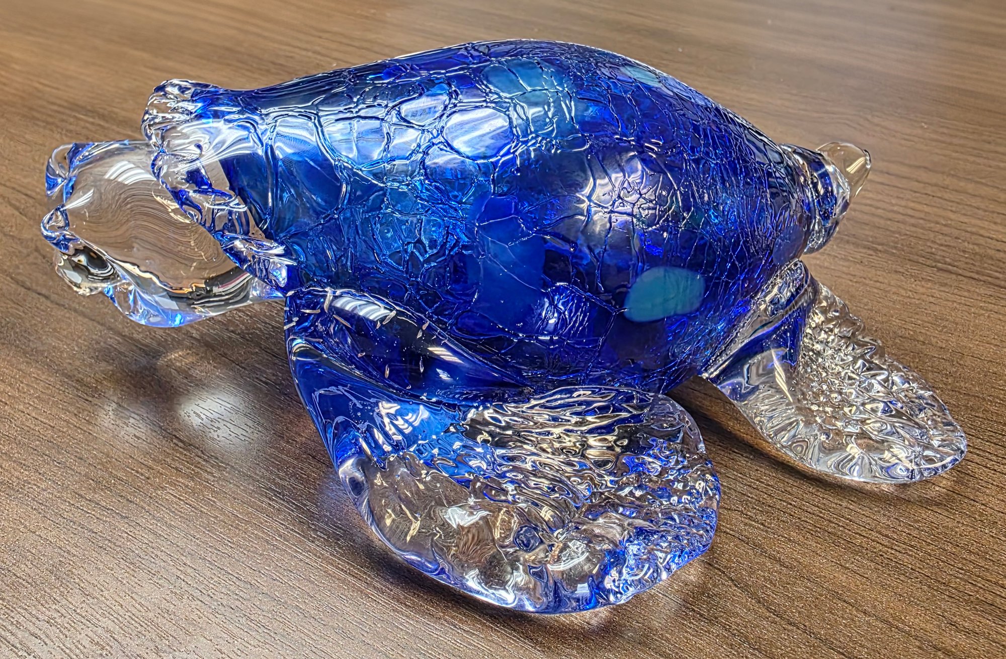 Turtle Award Turtle Award