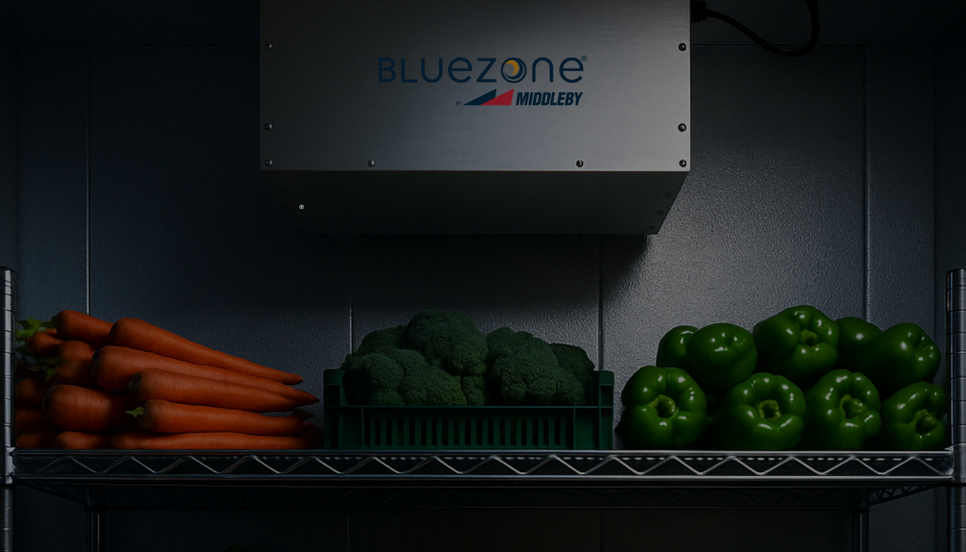 bluezone case study hero landing page