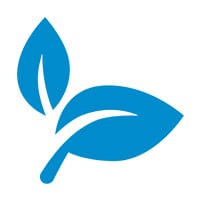leaf icon